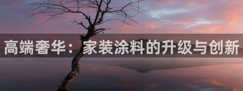 和记国际：高端奢华：家装涂料的升级与创新