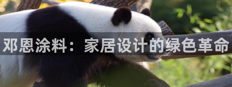 和记h88游戏：邓恩涂料：家居设计的绿色革命