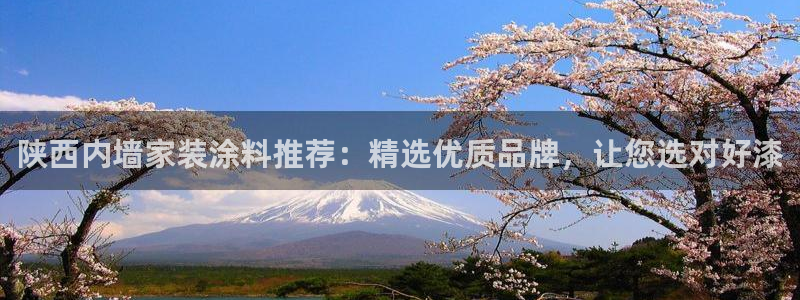 上海和记餐饮：陕西内墙家装涂料推荐：精选优质品牌，让您选对好漆