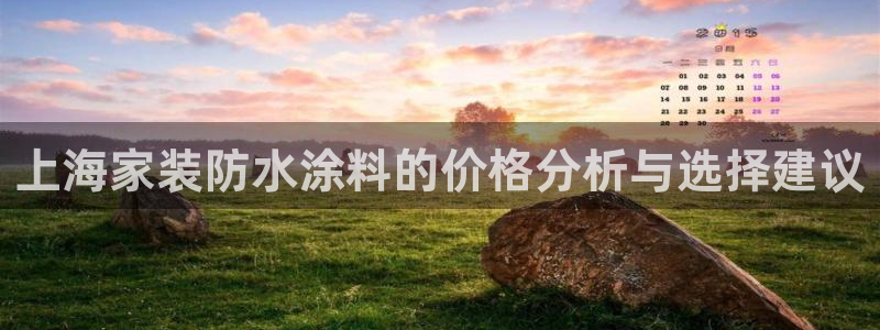 和记官网 公司：上海家装防水涂料的价格分析与选择建议