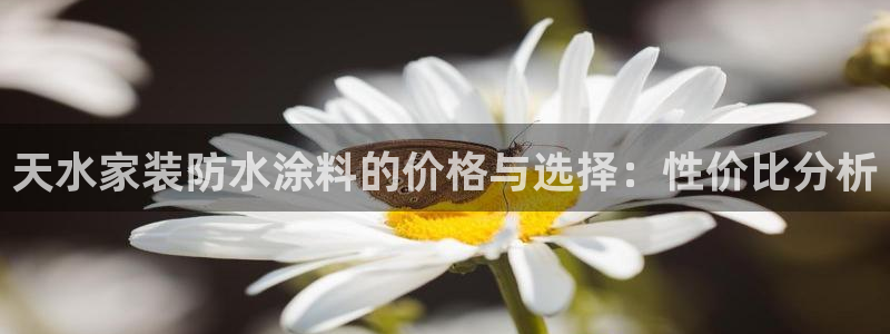 和记(福建)商贸有限公司：天水家装防水涂料的价格与选择：性价比分析