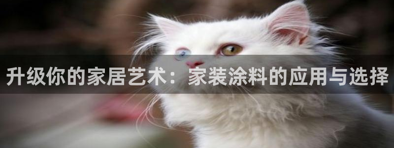 和记ag旗舰厅：升级你的家居艺术：家装涂料的应用与选择