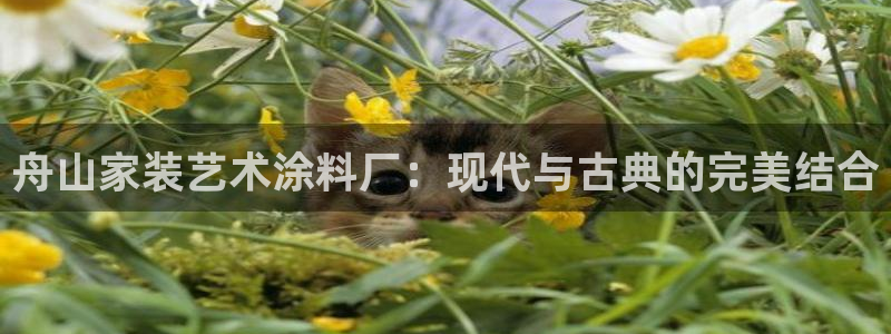 和记国际听：舟山家装艺术涂料厂：现代与古典的完美结合