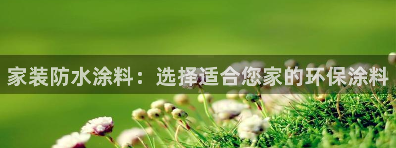和记国际官网官网：家装防水涂料：选择适合您家的环保涂料