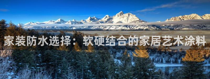 和记app官网登录：家装防水选择：软硬结合的家居艺术涂料