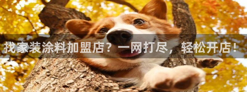 和记(福建)商贸有限公司：找家装涂料加盟店？一网打尽，轻松开店！