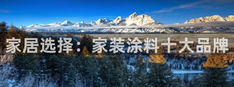 和记 官网：家居选择：家装涂料十大品牌