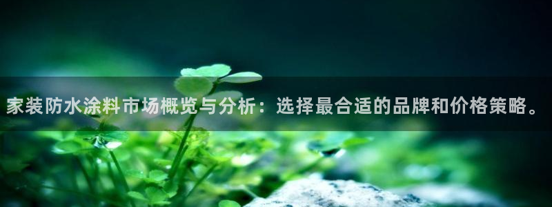 和记平台：家装防水涂料市场概览与分析：选择最合适的品牌和价格策略。