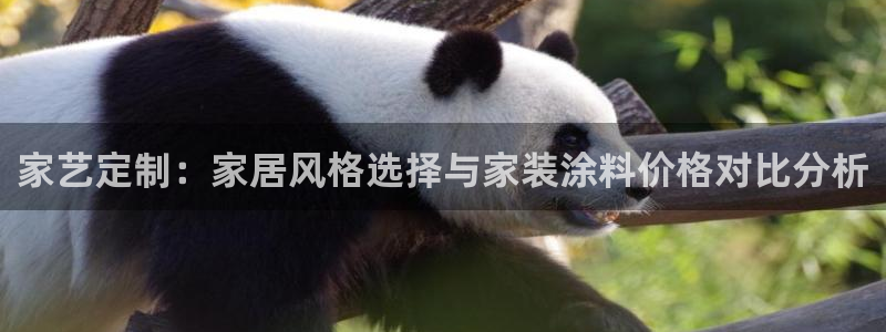 和记最新官方网址：家艺定制：家居风格选择与家装涂料价格对比分析