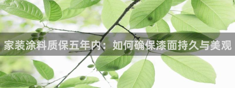 和记ag旗舰：家装涂料质保五年内：如何确保漆面持久与美观