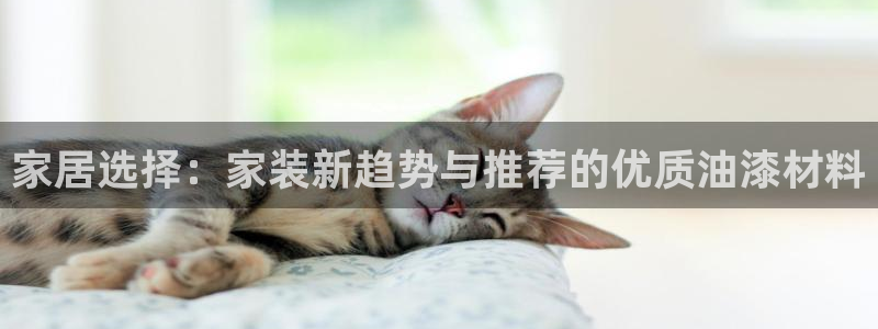 和记平台下载：家居选择：家装新趋势与推荐的优质油漆材料