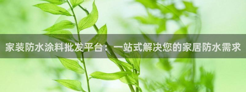 和记国际开户：家装防水涂料批发平台：一站式解决您的家居防水需求