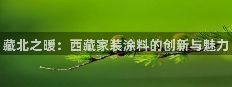 和记ag登录：藏北之暖：西藏家装涂料的创新与魅力