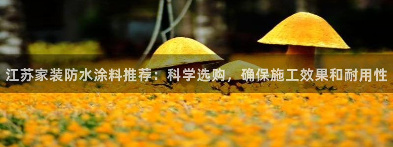 和记网页版登陆：江苏家装防水涂料推荐：科学选购，确保施工效果和耐用性