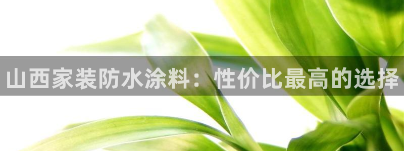 和记官网官方网站：山西家装防水涂料：性价比最高的选择