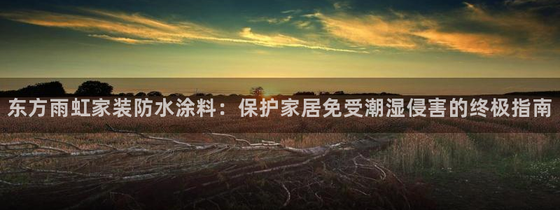 上海和记餐饮：东方雨虹家装防水涂料：保护家居免受潮湿侵害的终极指南