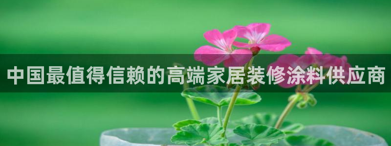 和记(福建)商贸有限公司招聘：中国最值得信赖的高端家居装修涂