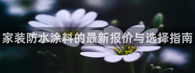 青岛大生和记餐饮管理有限公司：家装防水涂料的最新报价与选择指南