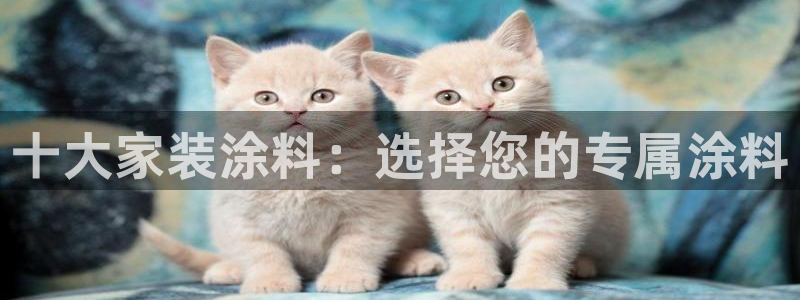 和记国际官网官网：十大家装涂料：选择您的专属涂料