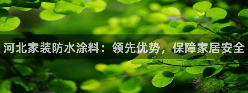和记港口：河北家装防水涂料：领先优势，保障家居安全