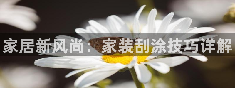 下载和记app：家居新风尚：家装刮涂技巧详解