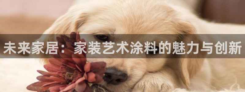 和记官网官方网站：未来家居：家装艺术涂料的魅力与创新