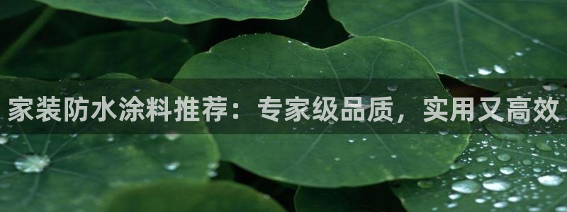 和记app官网：家装防水涂料推荐：专家级品质，实用又高效