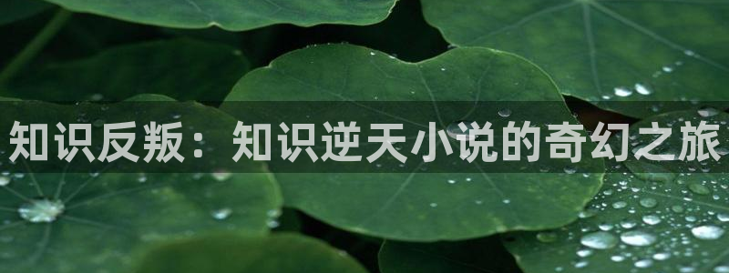 海棠小说网(无弹窗)笔趣阁