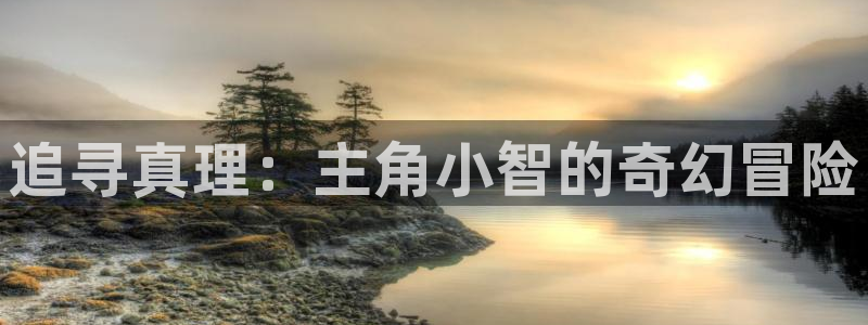 傅海棠小说