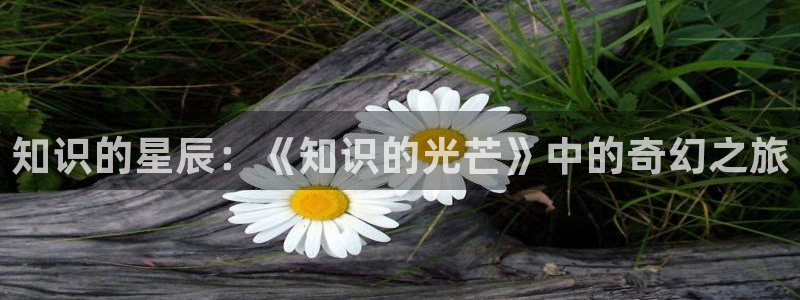 高h海棠小说